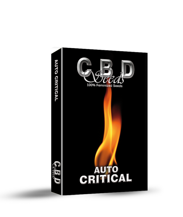 Auto Critical