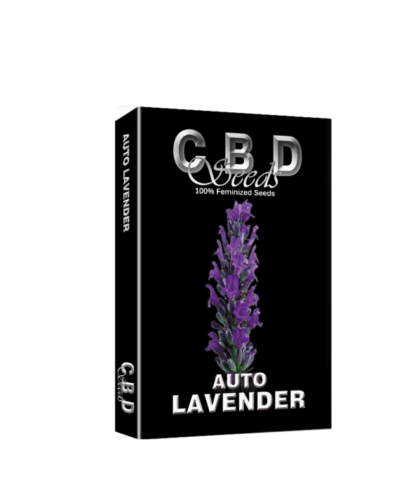 Auto Lavender