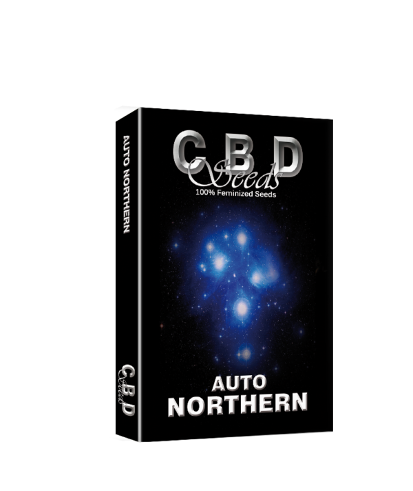 Auto Northern