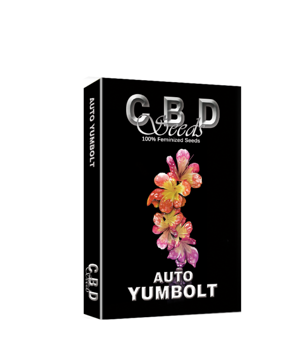 Auto Yumbolt