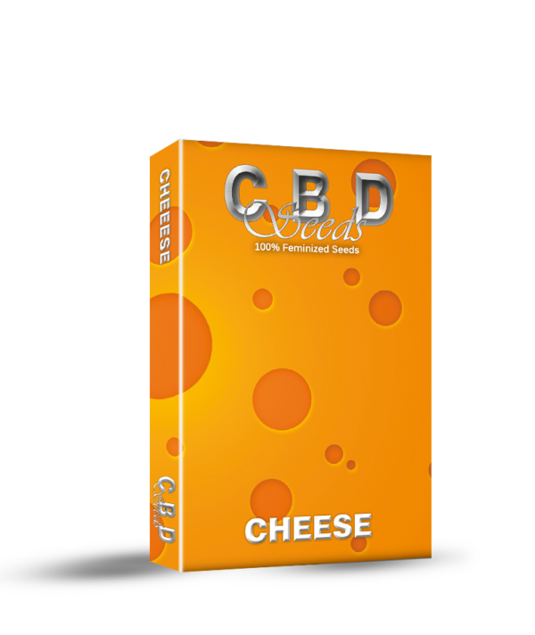 Chesse
