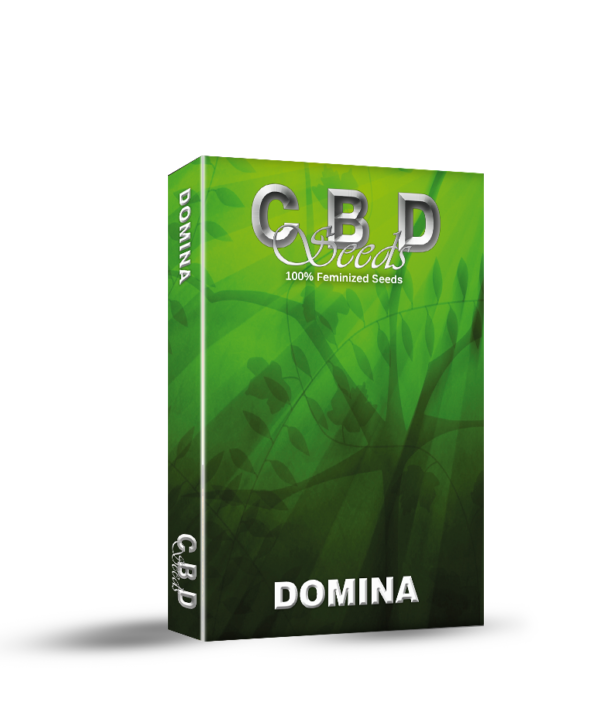 Domina