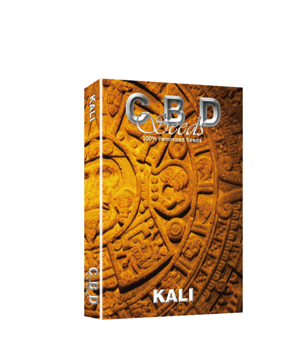 Kali