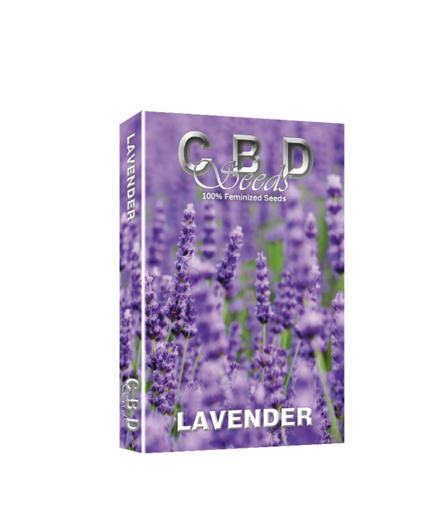 Lavender