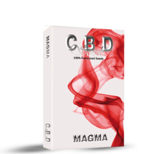 Magma