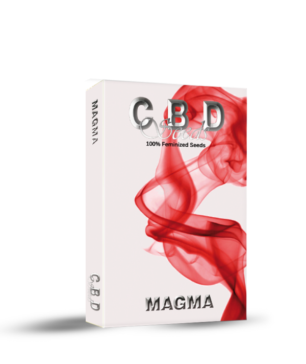 Magma