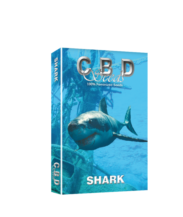Shark