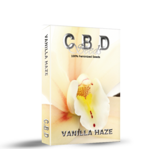 VANILLA HAZE