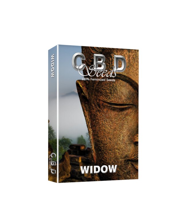 Widow